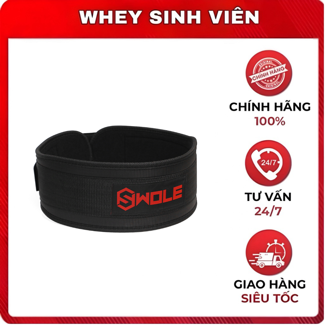 Đai Lifting Belt 
